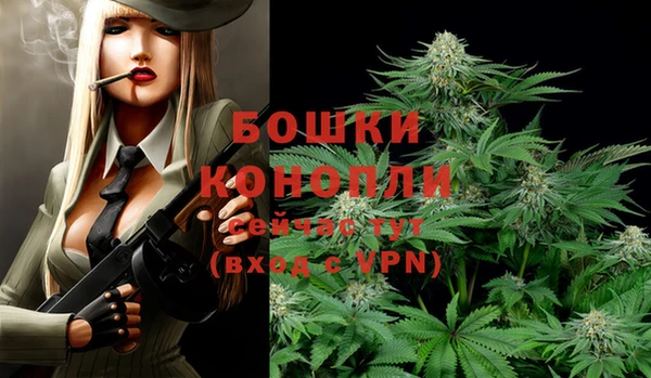 молекула духа Волосово