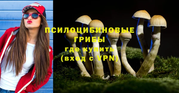молекула духа Волосово