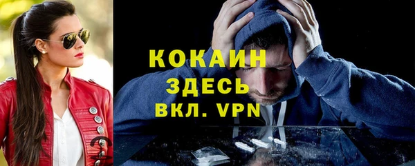 прущий лед Вяземский
