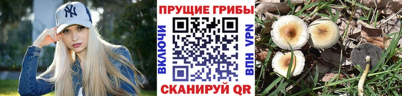 Псилоцибиновые грибы прущие грибы  наркота  Рыбинск 